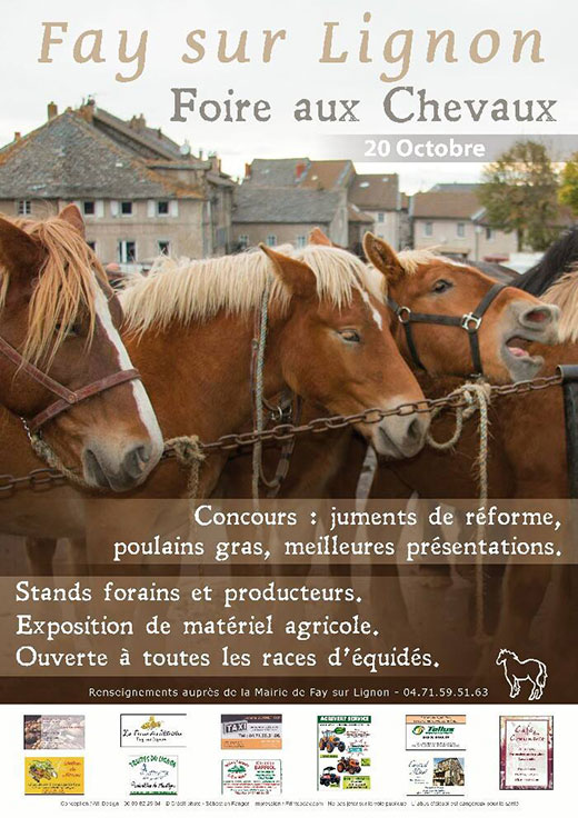 Foire aux chevaux de Fay sur Lignon 2014
